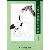 工笔画线描百鸟画谱。水禽篇