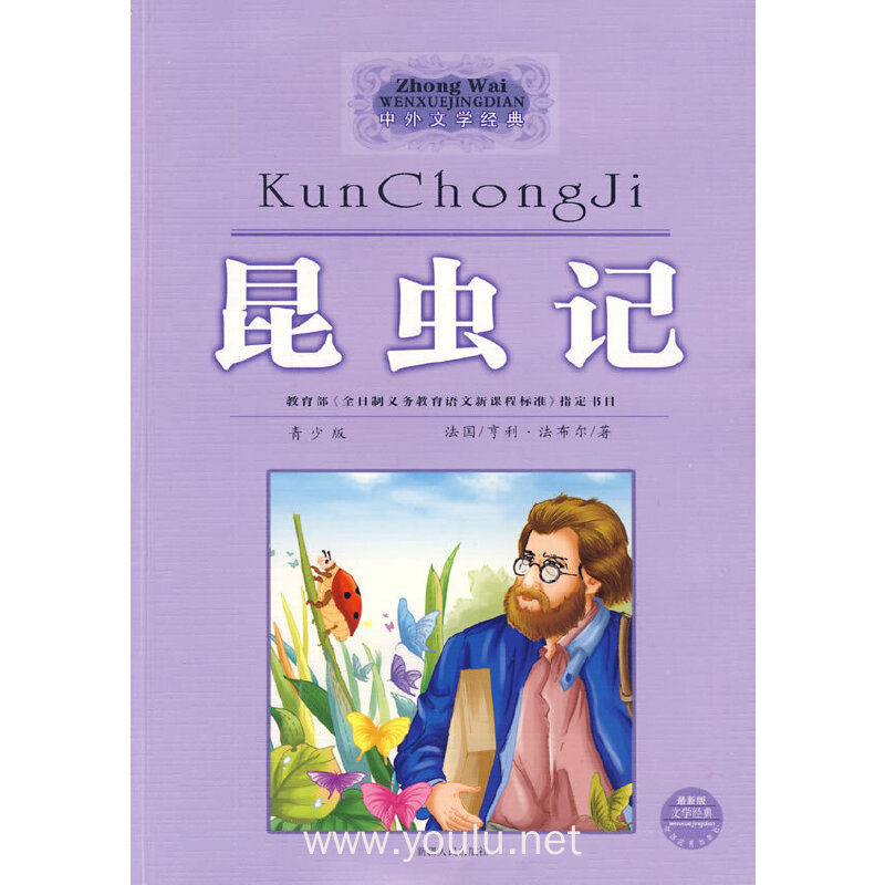 昆虫记（中外文学经典系列丛书）