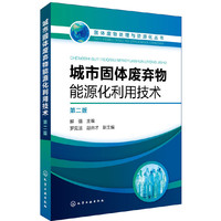 固体废物处理与资源化丛书--城市固体废弃物能源化利用技术(第二版)