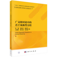 广义相对论中的若干双曲型方程9787030847652张晓科学出版社