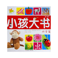 小孩大书－识字篇（3-6岁）