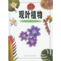 观叶植物