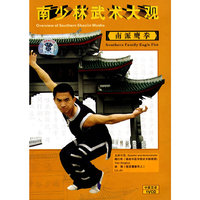 南少林武术大观：南派鹰拳（VCD）