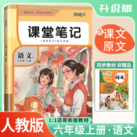 2025秋 培状元课堂笔记六年级语文上册人教版RJ课本教材同步讲解课本重点知识梳理归纳学习参考资料教材笔记（含课本原文）