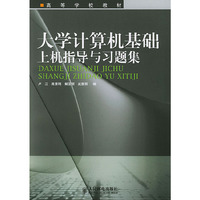 大学计算机基础上机指导与习题集（高等学校教材）