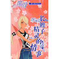 长辫子精灵的故事（都市童话系列）
