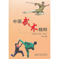 中国武术精粹