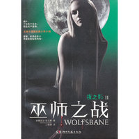 夜之影II:巫师之战