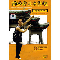 南少林武术大观：南派鸡拳（VCD）