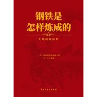 钢铁是怎样炼成的