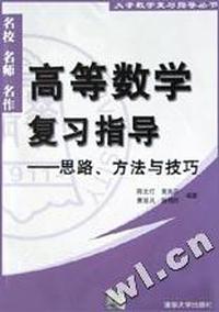 高等数学复习指导(思路方法与技巧)/大学数学复习指导丛书