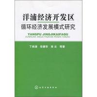 洋浦经济开发区循环经济发展模式研究