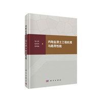 内陆盐渍土工程机理与路用性能