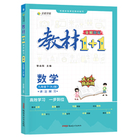 2024春教材1+1 初中化学 九年级下册 人教版（RJ版） 同步教材 讲练结合