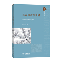 小说的诗性世界——跨文化中俄小说研究(跨文化中国学丛书)