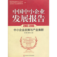2005-2006-中国中小企业发展报告-中小企业发展与产业集群