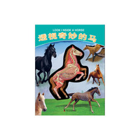透视奇妙的马-有趣的透视立体书