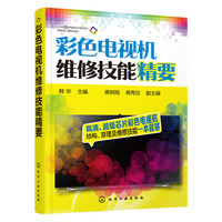 彩色电视机维修技能精要