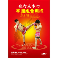 散打基本功：拳腿组合训练（DVD）