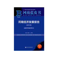 河南蓝皮书：河南经济发展报告（2019）
