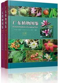 《广东植物图鉴》上下两册 中英文对照