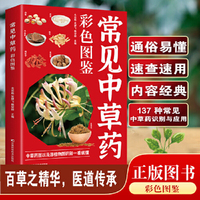 全新写给孩子的中医启蒙课家庭健康与医疗大全集中医治百病常见病自愈疗法中医养生