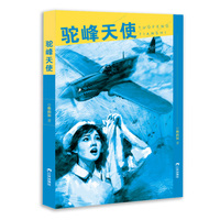 驼峰天使 驼峰航线 历史纪实小说  飞虎队 三环出版社正版书籍 爱国主义教育学生读物