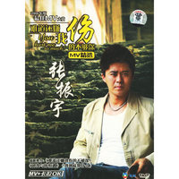 中国富人及家庭成员人身安全防范(5VCD)