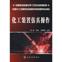 化工装置仿真操作(朱伟)