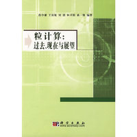 粒计算:过去、现在与展望