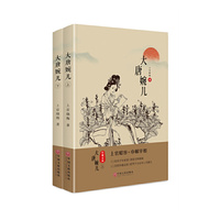 大唐婉儿（上下册）