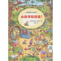 小兔子在哪里-小洞洞和大世界