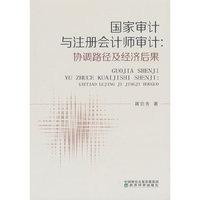 国家审计与注册会计师审计：协调路径及经济后果