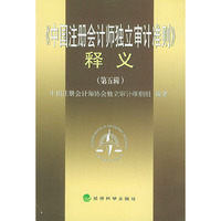 《中国注册会计师独立审计准则》释义．（第五辑）