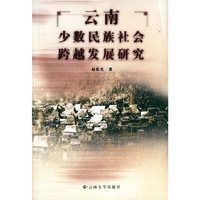云南少数民族社会跨越发展研究