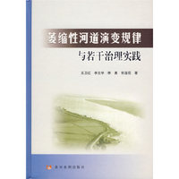 萎缩性河道演变规律与若干治理实践