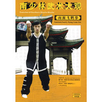 南少林武术大观：南派飞鹤拳（VCD）