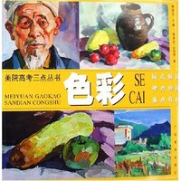 色彩/美院高考三点丛书(美院高考三点丛书)