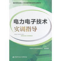 电力电子技术实训指导