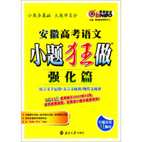 小题狂做·强化篇：安徽高考语文