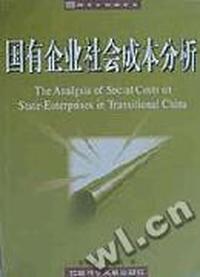 国有企业社会成本分析