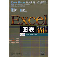 Excel图表实战技巧精粹(附光盘)