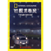 自然灾害 拦截龙卷风(DVD)