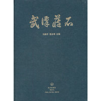武汉藏石