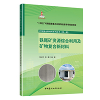 铁尾矿资源综合利用及矿物复合新材料/矿物复合新材料系列丛书（第一辑）