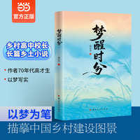 梦醒时分 杨必华全新长篇乡土小说 倾情书写故乡四五十年来翻天覆地的变化 集中展现中国乡村建设的伟大成就 当当自营