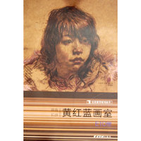 正版 完美教学系列丛书——黄红蓝画室湖南长沙