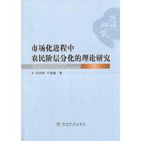市场化进程中农民阶层分化的理论研究