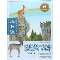 安徽少年儿童出版社 斑羚飞渡/沈石溪动物故事注音本系列