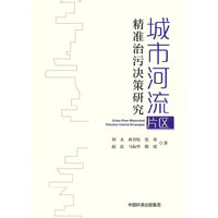 城市河流片区精准治污决策研究
